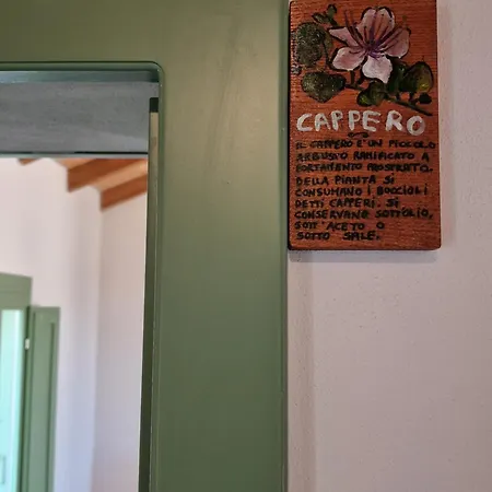 La Casa Vecchia 民宿 Nuraminis