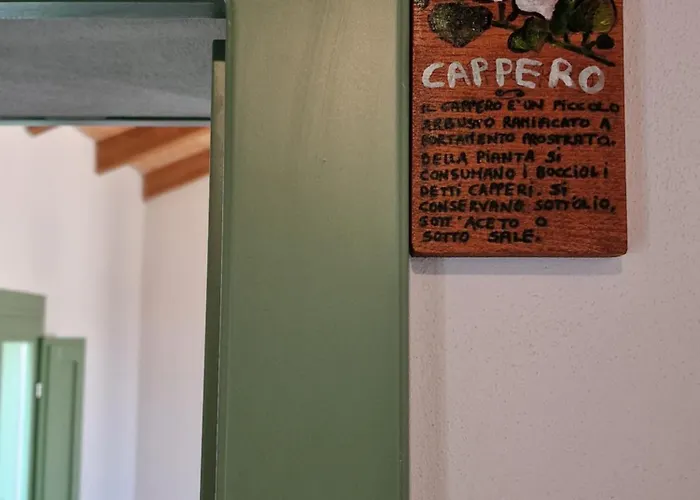 La Casa Vecchia 民宿 Nuraminis